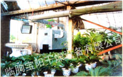 大棚、花卉供暖設(shè)備